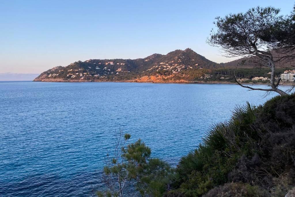 Sunny Apartment 1B With Balcony & Pool In Canyamel Capdepera  Exterior foto